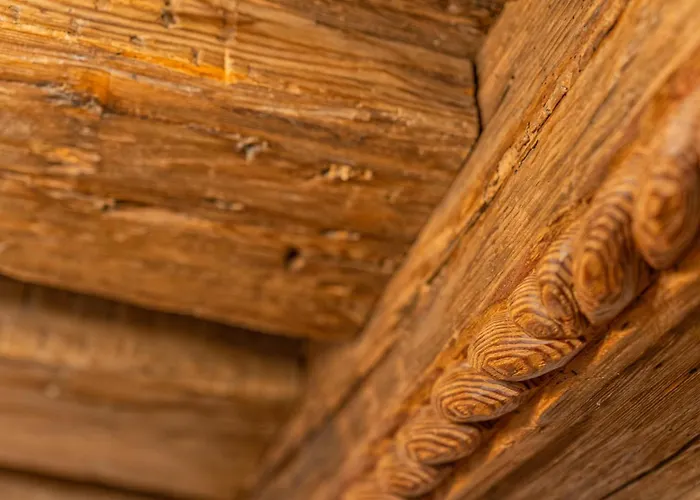 Pletzer * קיצביהל